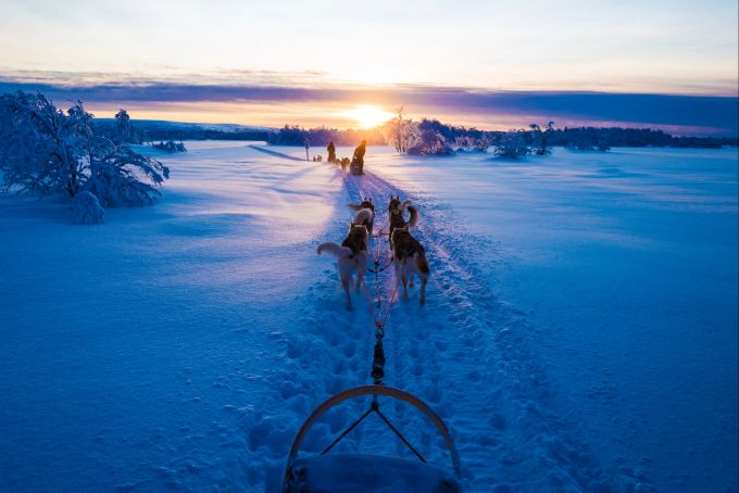 Mit den Hunden Richtung Sonnenuntergang: In den Monaten Dezember und Januar ist es in Nordfinnland nur vier Stunden pro Tag hell. blau Schnee Hunde Schlitten Dämmerung Sonne