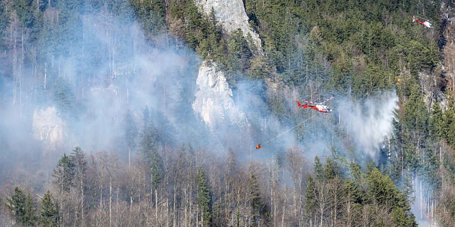 meiringen waldbrand