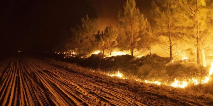 Ein Feuer wütet in einem Wald in der Nähe von Ituzaingo, in der Provinz Corrientes. Foto: Rodrigo Abd/AP/dpa Ein Feuer wütet in einem Wald in der Nähe von Ituzaingo, in der Provinz Corrientes. Foto: Rodrigo Abd/AP/dpa