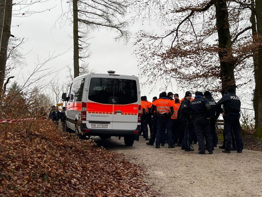 Rund 60 Polizisten suchen den Wald ab.