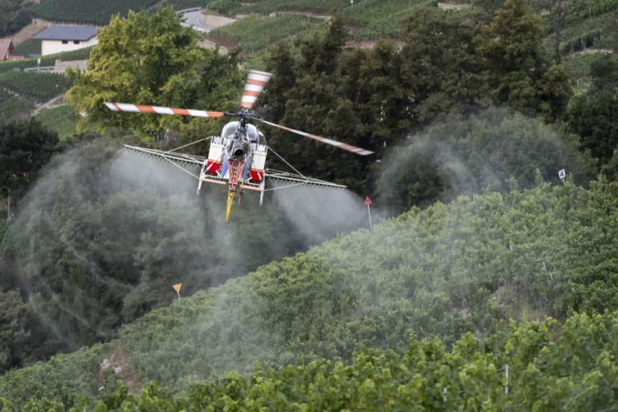 Pestizide pilzschutz helikopter reben