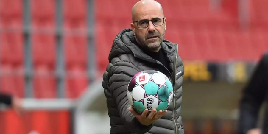 Leverkusens Trainer Peter Bosz trifft mit seinem Team auf OGC Nizza. Foto: Torsten Silz/dpa