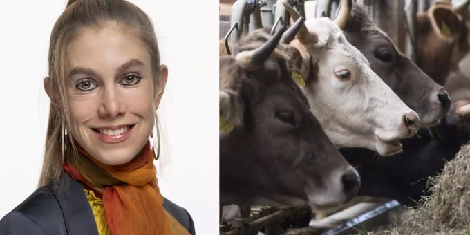Massentierhaltung - «Rückzug der Initiative steht nicht zur Diskussion»
