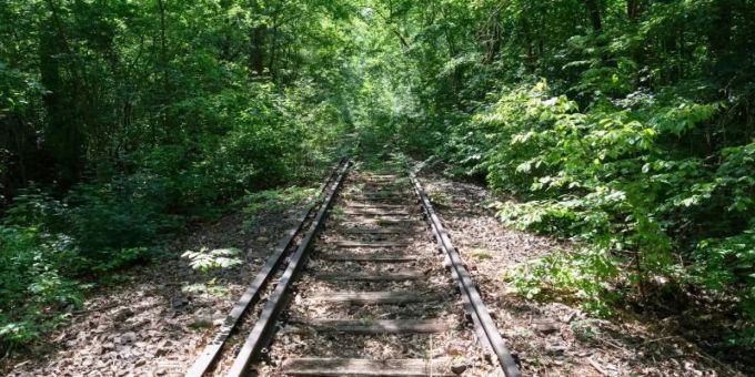 Teilweise zugewachsene Bahnschienen der Potsdamer Stammbahn bei Kleinmachnow. Foto: Soeren Stache/dpa-Zentralbild/dpa Teilweise zugewachsene Bahnschienen der Potsdamer Stammbahn bei Kleinmachnow. Foto: Soeren Stache/dpa-Zentralbild/dpa