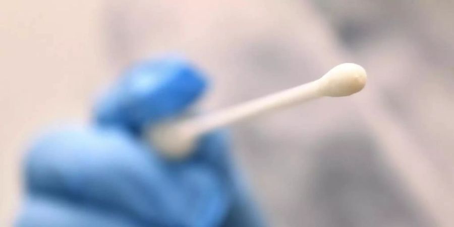 Ein Arzt hält in einer Hausarztpraxis einen Tupfer für einen Coronatest-Abstrich. Foto: Karl-Josef Hildenbrand/dpa
