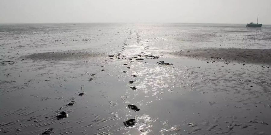 Mit der App «Wadden Sea Explorer» des WWF bekommen Nordsee-Besucher einen digitalen Tourguide an die Hand. Foto: Andreas Heimann/dpa-tmn/Illustration