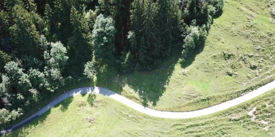 Die 56-jährige Frau, die am Freitag mit ihrem E-Bike in Flumserberg Portels SG gestürzt war, ist in der Nacht auf Samstag im Spital verstorben.