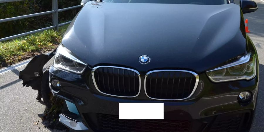 Personenwagen kollidiert mit Röhrenzaun