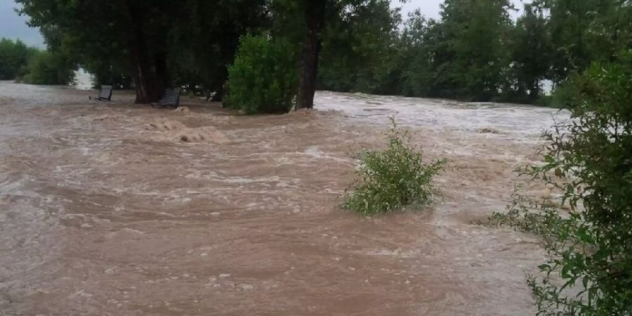 regen