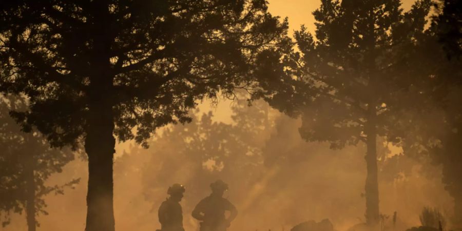 Feuerwehrleute im Einsatz gegen das Lava-Feuer. In Nordkalifornien kämpften rund 800 Feuerwehrleute gegen einen Waldbrand an, der sich innerhalb kurzer Zeit rasch ausgebreitet hatte. Foto: Paul Kitagaki Jr./ZUMA Wire/dpa Foto: Paul Kitagaki Jr./ZUMA Wire/dpa