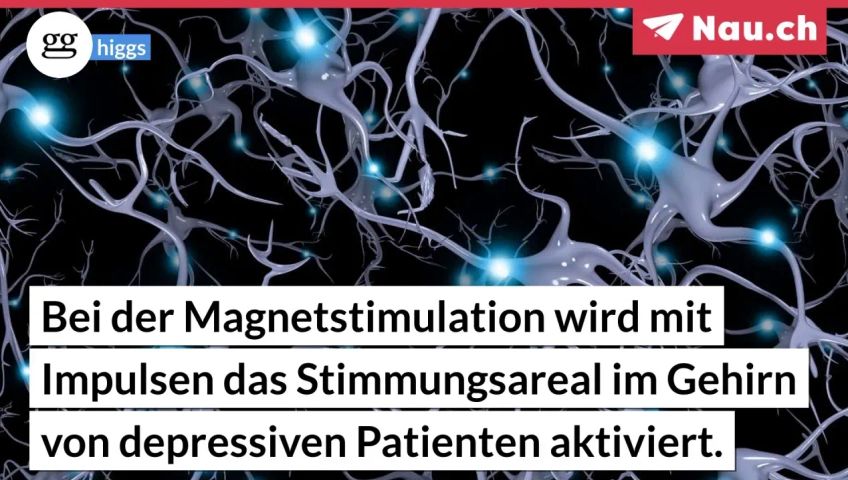 screenteaser-fur-artikel