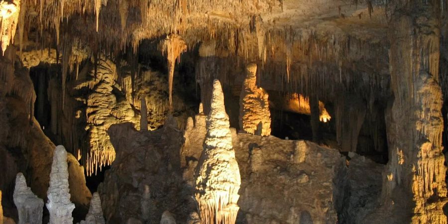 Das gewaltige Geflecht zieht sich entlang von Felswänden eines Höhlen-Gangs. (Symboblild)