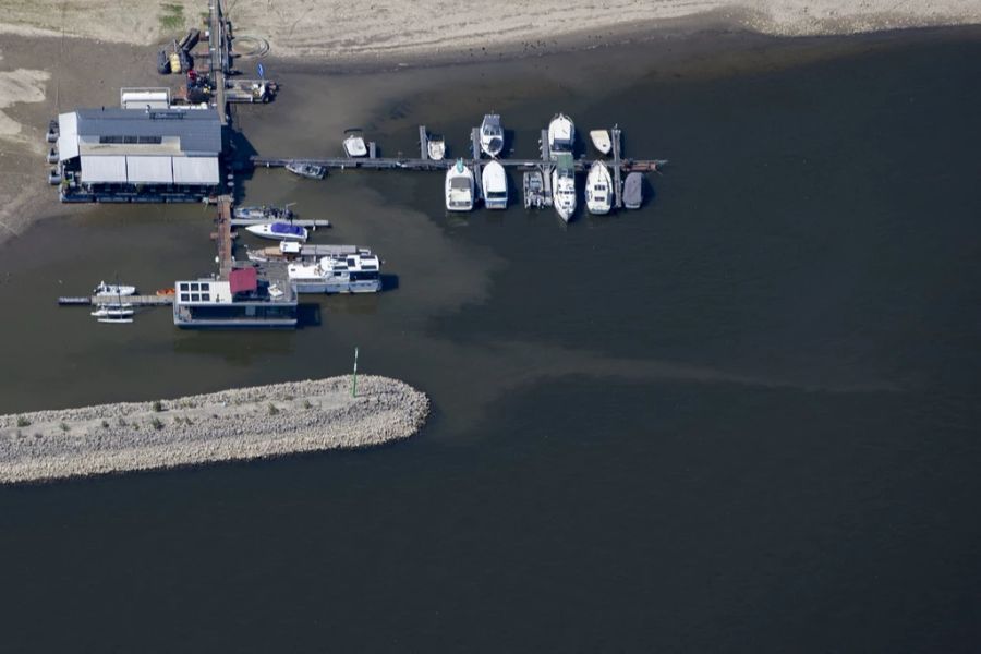 In Köln ist die Schifffahrt auf dem Rhein nur noch beschränkt möglich. Der Pegel ist dramatisch gesunken.