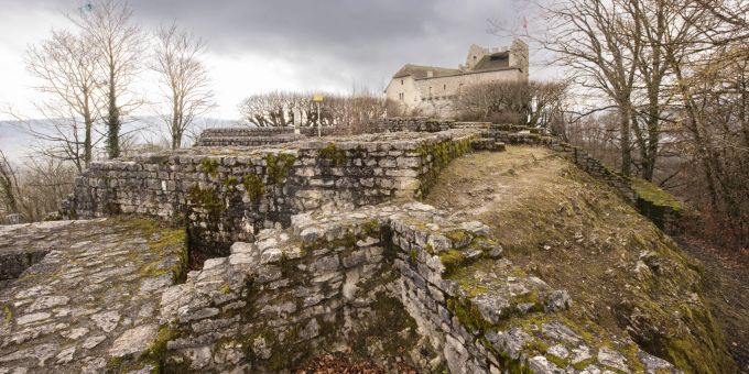 Nach jahrhundertelanger Vernachlässigung wurde das Schloss Habsburg vom Kanton Aargau renoviert. Ende des letzten Jahrhunderts zog die Dorfwirtschaft ein. Nach jahrhundertelanger Vernachlässigung wurde das Schloss Habsburg vom Kanton Aargau renoviert. Ende des letzten Jahrhunderts zog die Dorfwirtschaft ein.