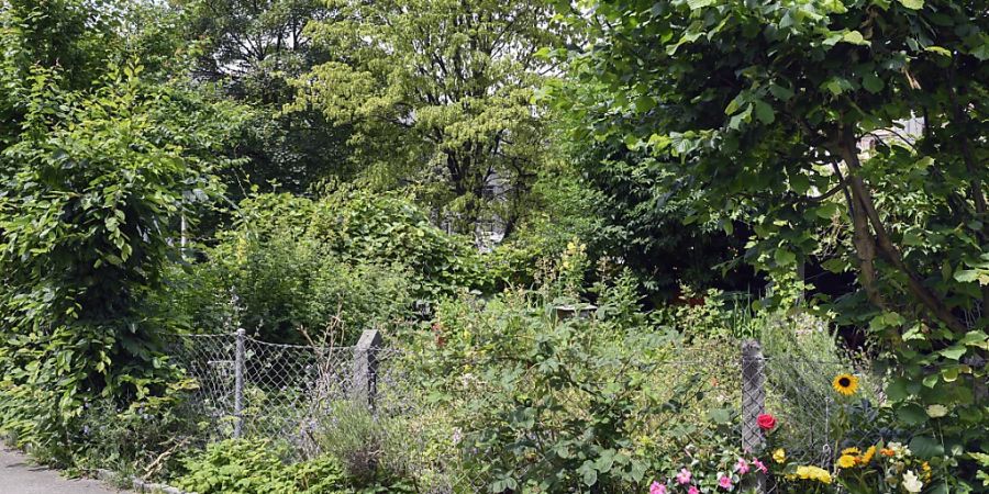 Blumen am Tatort im Zürcher Seefeldquartier. (Archivbild)