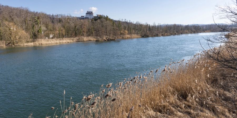Das Schloss Wildegg, gesehen vom nördlichen Aareufer in Veltheim.
