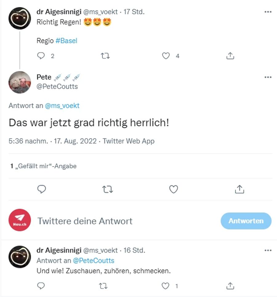 Diese beiden Twitter-User haben sich am Mittwochabend über den Regen in der Region Basel gefreut.