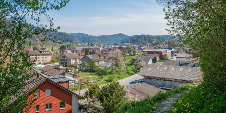 Die Ortsübersicht bei Rosenberg in der Gemeinde Wila im Tösstal.