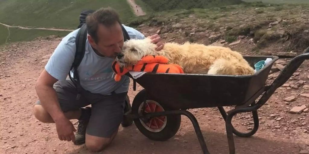 Besitzer trägt sterbenden Hund in Wales auf Lieblingsberg