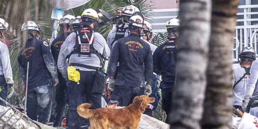 Nach dem Teileinsturz des zwölfstöckigen Wohnhauses ist die Zahl der Todesopfer erneut gestiegen. Foto: Pedro Portal/Miami Herald/AP/dpa