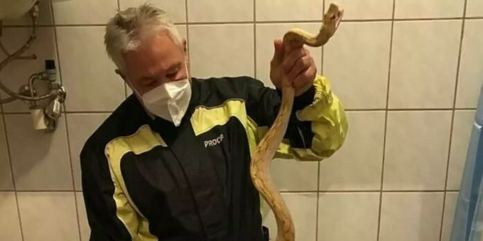 WC-Unfall - Österreicher darf Python nach Penis-Biss behalten