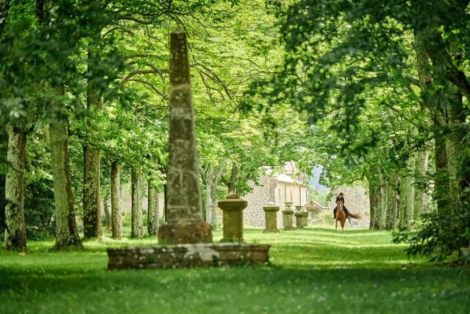 Ein kurzer Ausritt in den Landschaftspark gefällig? Schlosspark