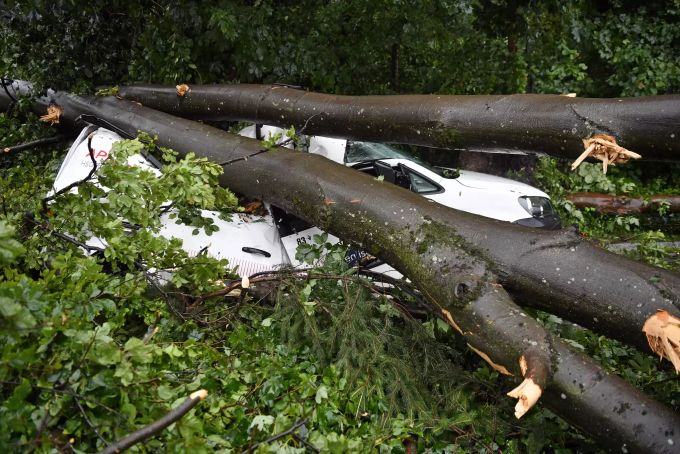 Umgestürzte Bäume und abgebrochene Äste haben nach dem schweren Unwetter Autos begraben und stark beschädigt. deutschland