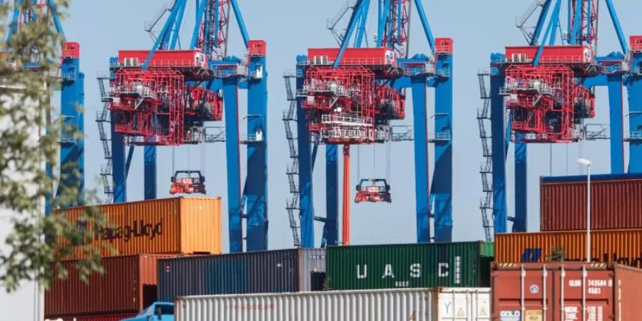 LKW liefern Container zum Beladen auf ein Containerschiff am Hamburger Tollerort-Terminal. Foto: Markus Scholz/dpa