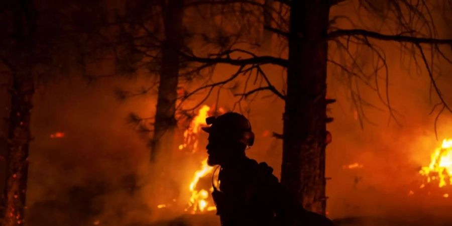 Tausende Hektar Wald durch Feuer in US-Bundesstaat Oregon zerstört