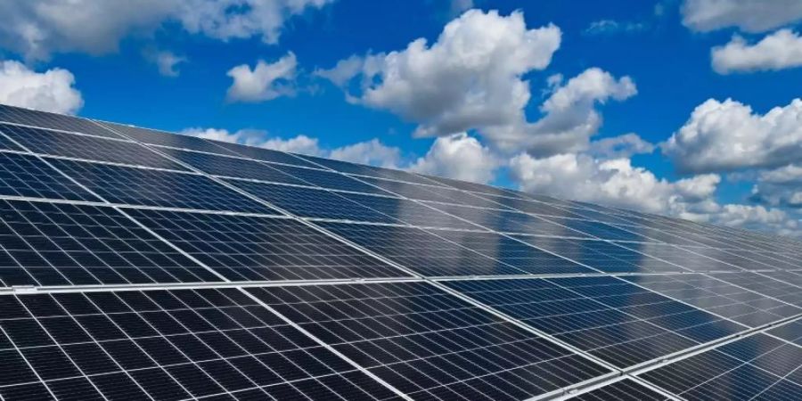 Eine Schlüsselrolle gerade für energieintensive Unternehmen spielt der Ausbau des Stroms aus erneuerbaren Energien. Foto: Patrick Pleul/dpa-Zentralbild/dpa