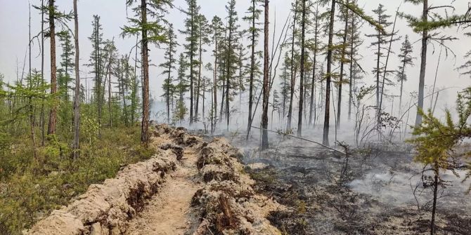 russland waldbrände