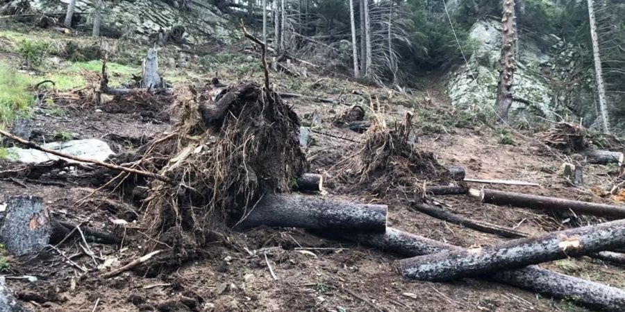 Kantonspolizei Graubünden