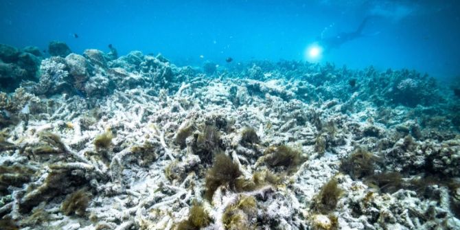 Great Barrier Reef