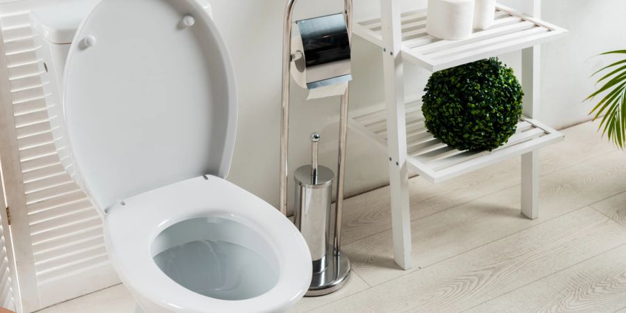 Modernes weisses Badezimmer mit Toilette