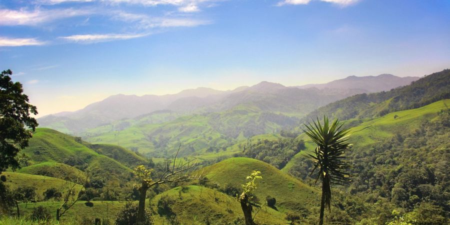 Costa Rica, Hügellandschaft, Grün, Wald, Tropen