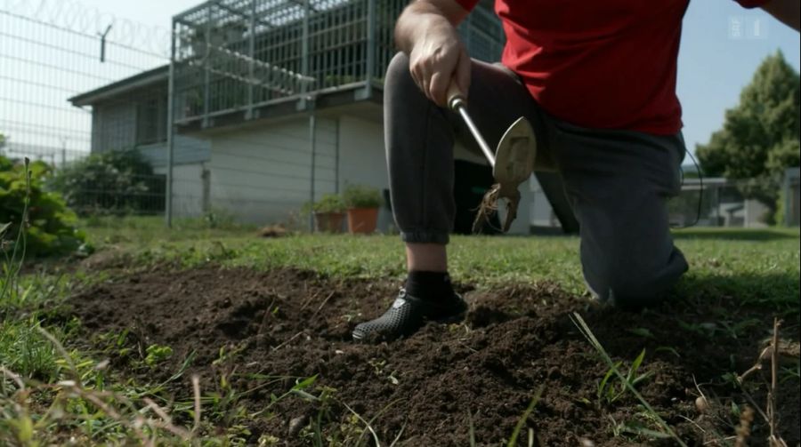 Die WG hat einen eigenen Garten, der von den Bewohnern gepflegt wird.