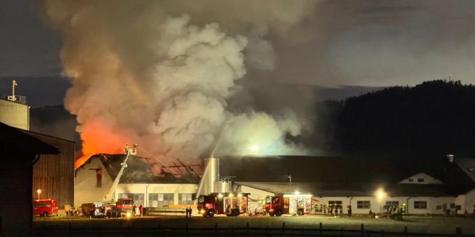 Keine Verletzte - Feuerwehr kann Brand in Galgenen SZ löschen