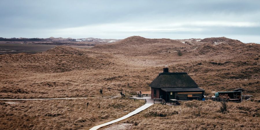 Reetdachhaus in den Dünen in Dänemark.