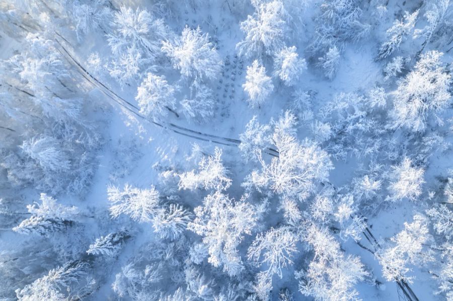 Die Niederschlagsmengen im Dezember waren sehr gross und sind unter anderem auf das verstärkte Schneeschmelzen zurückzuführen.