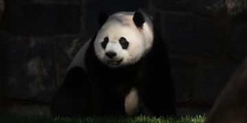 National Zoo