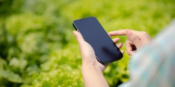 Smartphone in der Hand, Pflanzenhintergrund