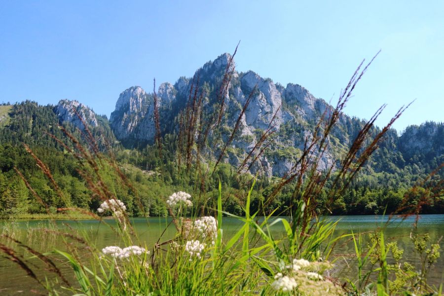 Das Wanderpärchen zog es in die Region Salzkammergut. Das Gebiet ist ein Wanderparadies. (Symbolbild)