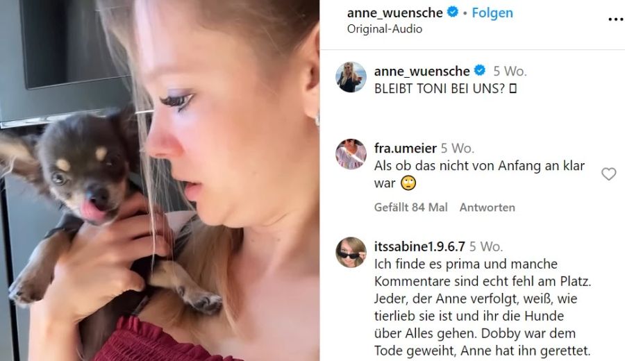 Anne Wünsche Welpe Screenshot