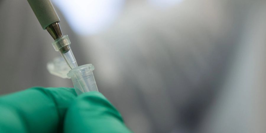 Ein Forscher zeigt, wie ein PCR-Test für die Analyse auf Mutationen des Coronavirus vorbereitet wird.