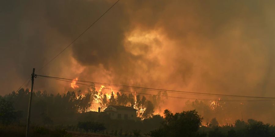Ein Waldbrand nähert sich einem Haus in dem Dorf Bemposta in der Nähe von Ansiao. Tausende von Feuerwehrleuten kämpfen in Portugal weiterhin gegen Brände im ganzen Land. Foto: Armando Franca/AP/dpa