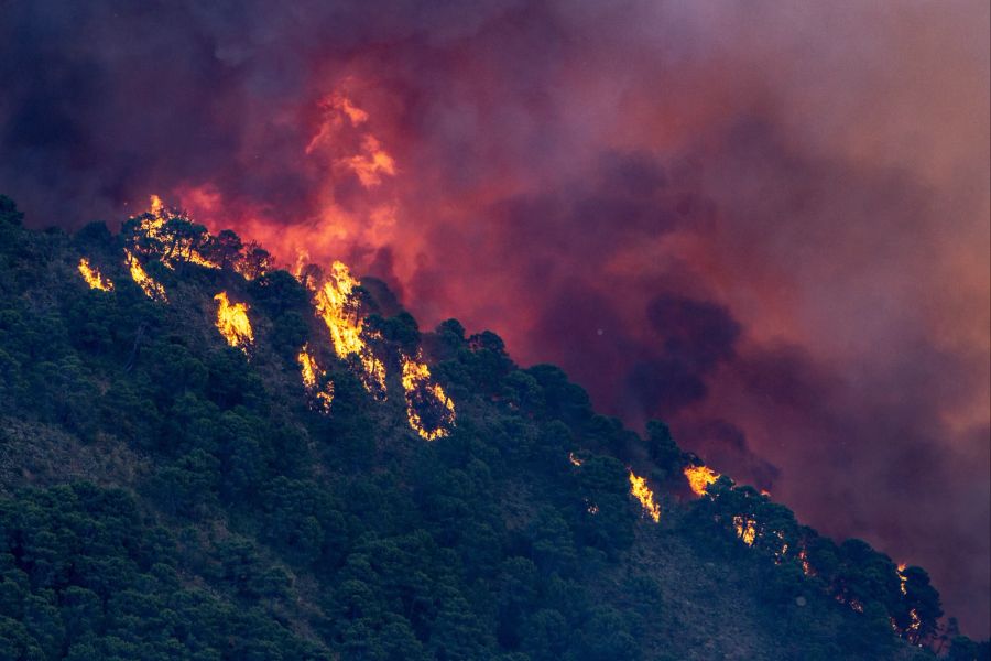 Spanien Waldbrand