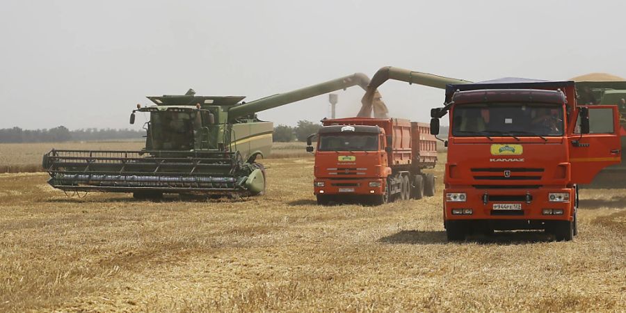 Die Landwirtschaft in der Ukraine hat wegen des russischen Angriffskrieges schon jetzt grosse Schäden erlitten. (Archivbild)