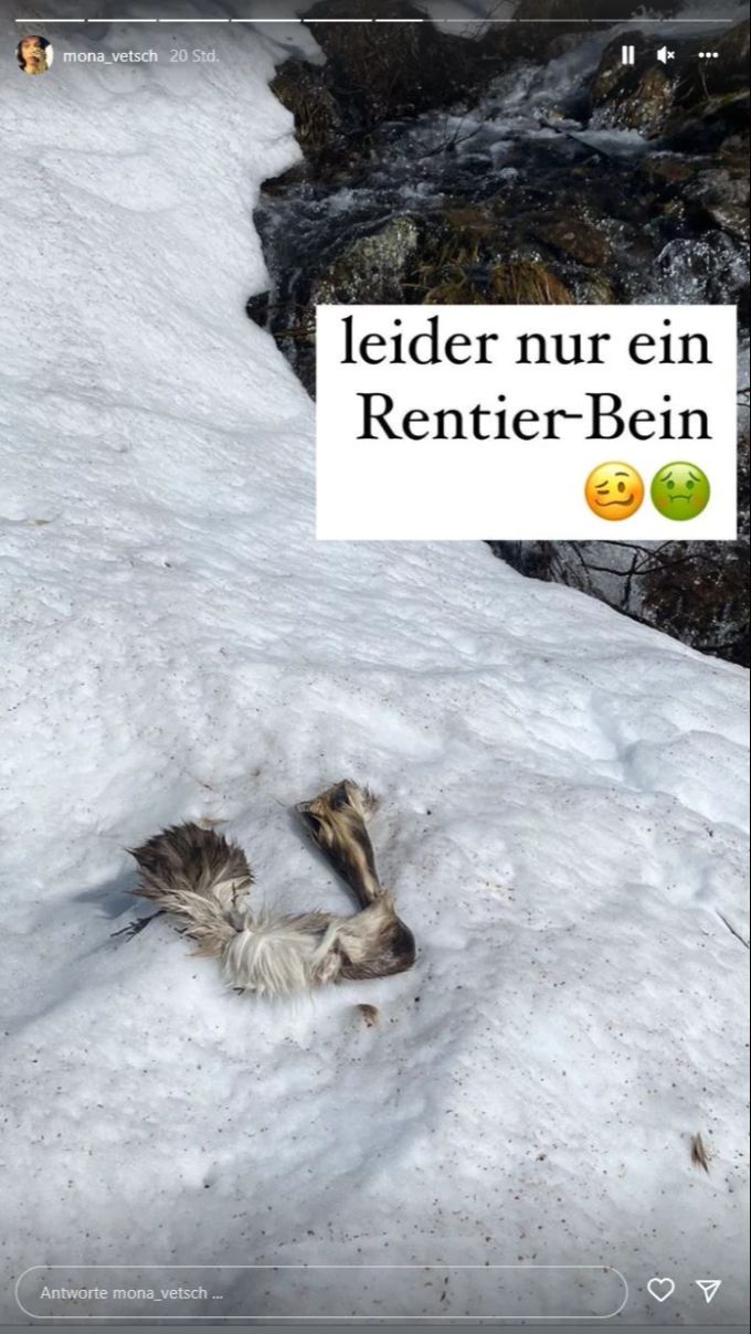 Bei Dreharbeiten für SRF findet Mona Vetsch ein abgetrenntes Rentier-Bein. mona vetsch