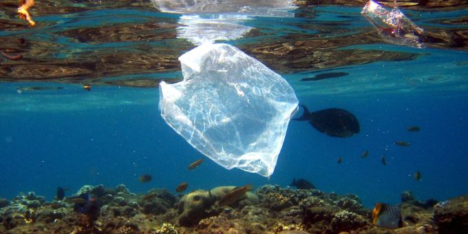 Eine Plastiktüte schwimmt über Korallen im Roten Meer in Ägypten. Eine Plastiktüte schwimmt über Korallen im Roten Meer in Ägypten.