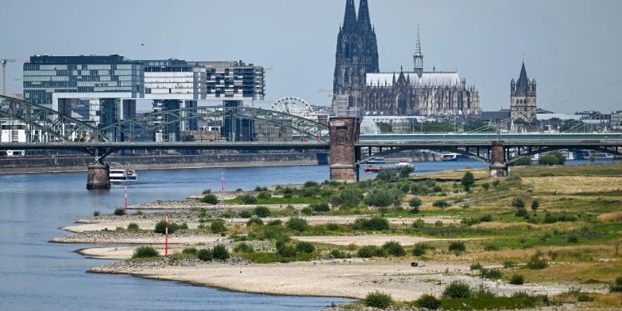 Trockenes Flussbett des Rhein bei Köln